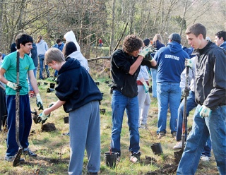 International school students join the crowds planting trees at the Earth Day-Arbor Day Family Festival at Lewis Creek Park on Saturday