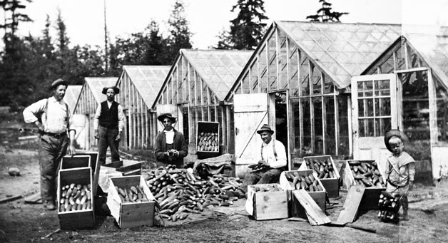 Men display produce in front of the Boddy Greenhouses