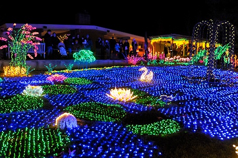 Bellevue’s Garden d’Lights glows with 500