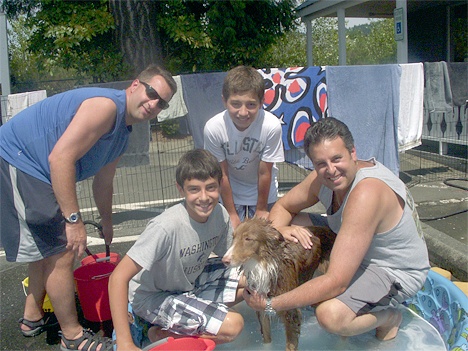 A dog wash project to benefit the Seattle Human Society netted $1