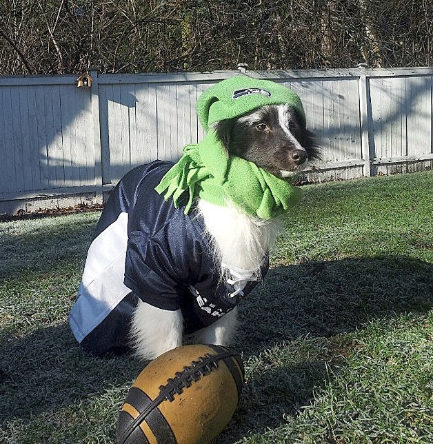 Truitt gears up for game day.