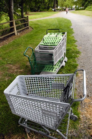 Police are cracking down on a rash of stolen and discarded shopping carts in the Crossroads area. Offenders can be hit with a $50 fine for taking the carts from stores.