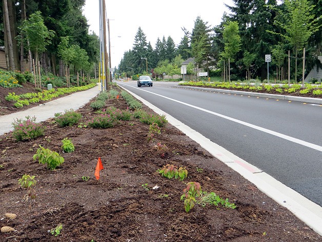 Improvements to the roadway include new bicycle lanes