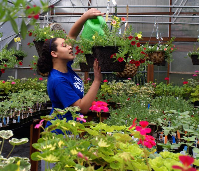 Nothing says spring like Interlake High School's annual spring plant sale. Mikaela Chandler