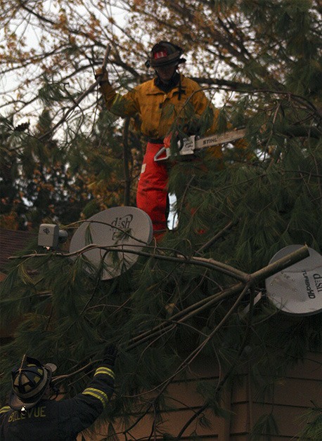 Firefighters work to remove a large tree that was knocked down onto an elderly woman's home on the 300 block of 111th Avenue Southeast during Thursday's wind storm.