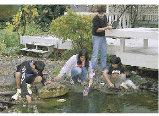 The Olympians collect data at the pond. From left