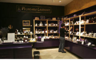 Odile Jasen keeps the shelves neat and organized at the Pelindaba Lavender