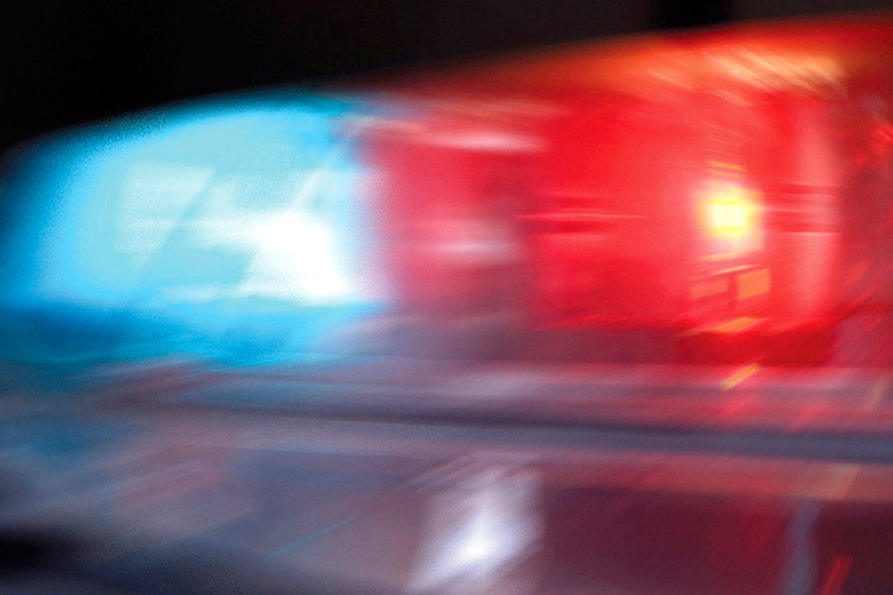 Police arrest suspects who made racial slurs, assaulted man | Bellevue Police Blotter