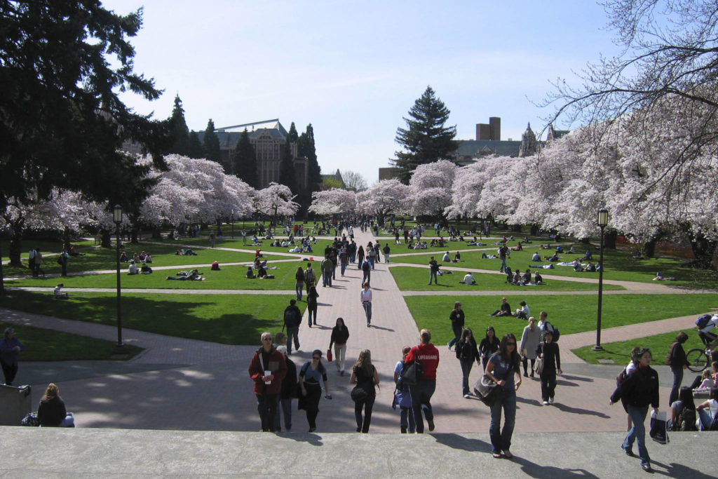 Proposed Bill Would Provide Free College Tuition To Some Students   10552687 Web1 180208 Kc Oly Tuition 1024x683 