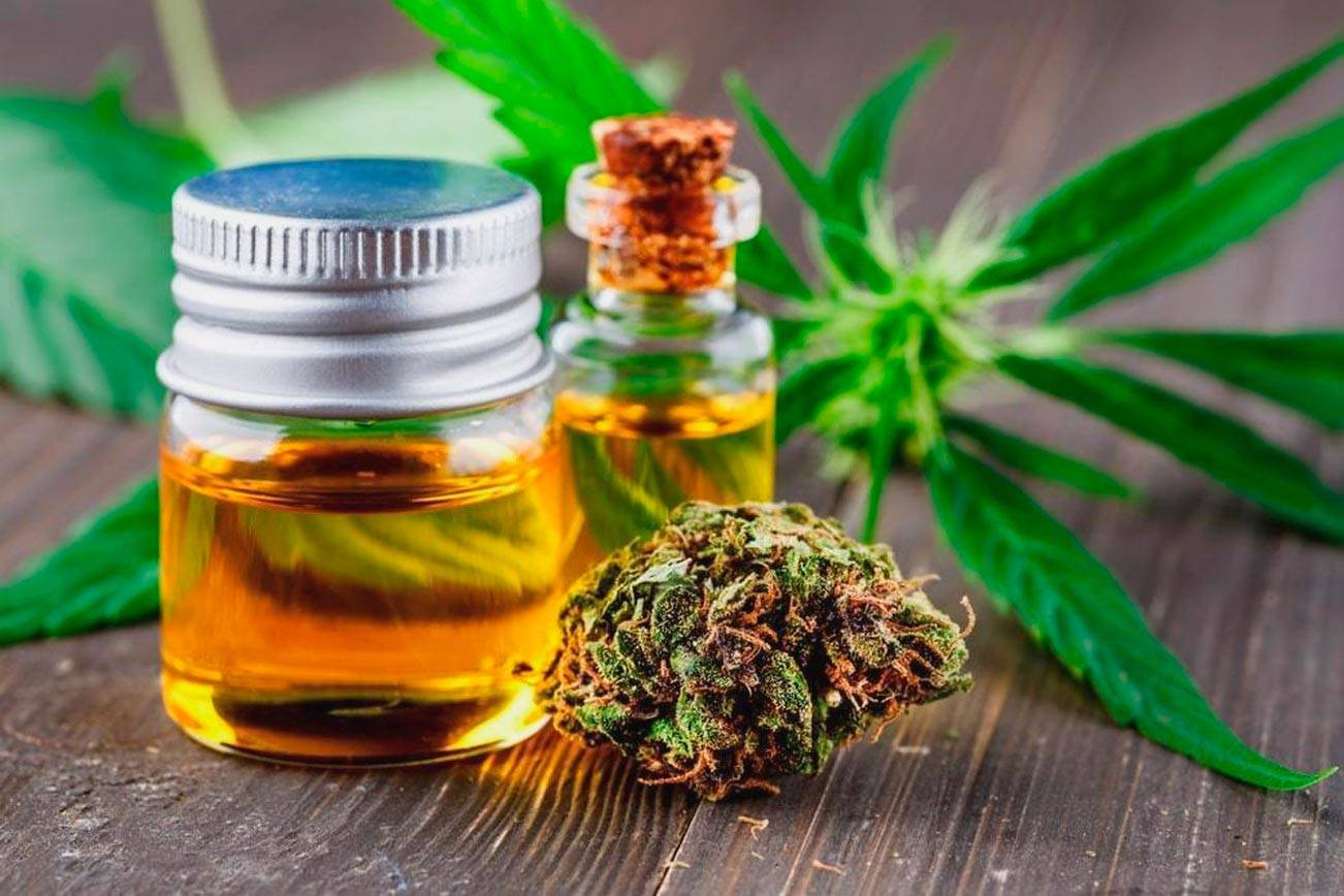 Best CBD Oil: Review Top High Quality CBD Oils to Buy (2021) | Bellevue  Reporter